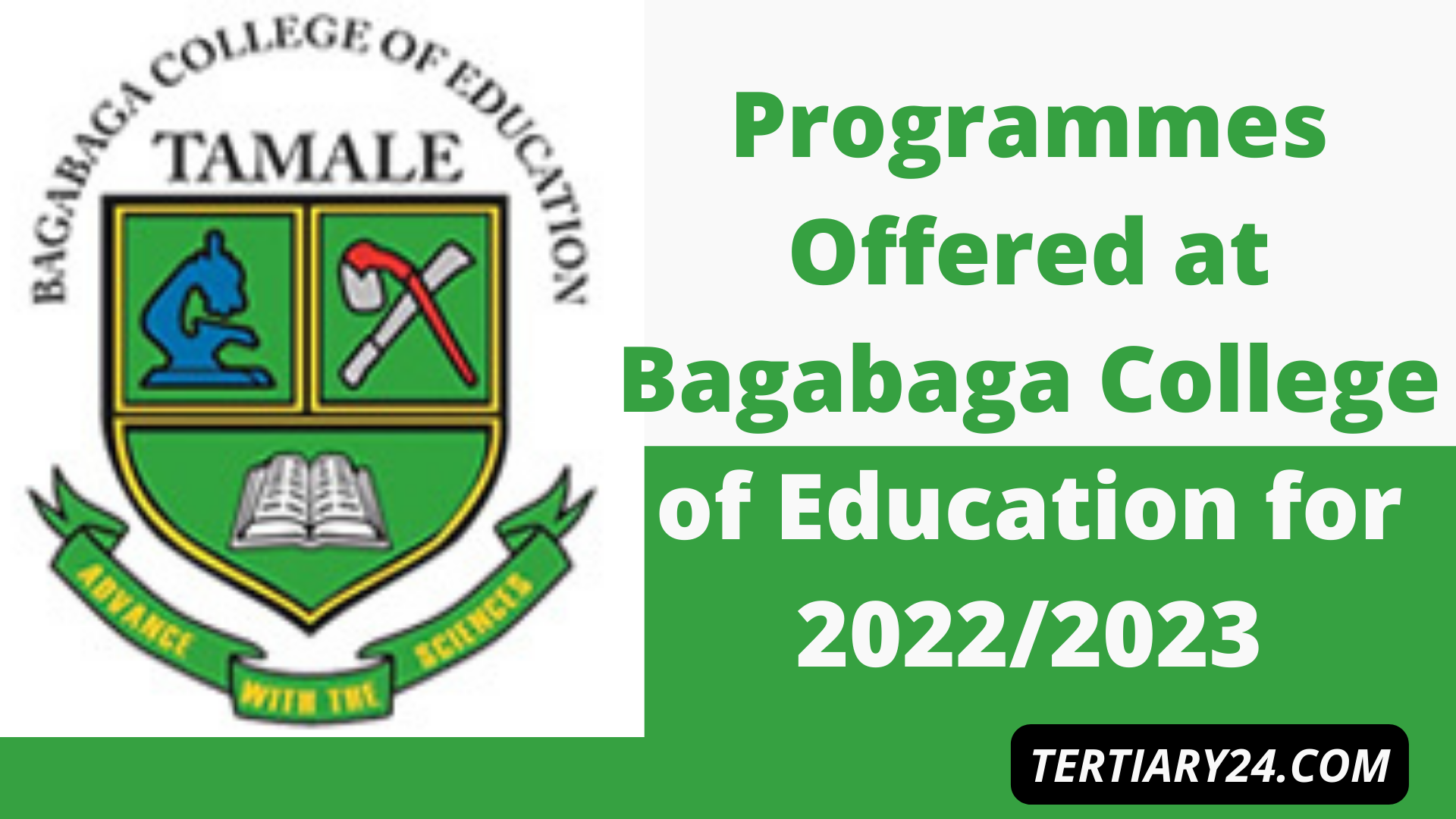 Programmes Offered at Bagabaga College of Education for 2022/2023